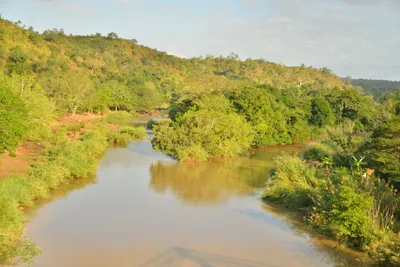 DSC_4352 (Large).JPG